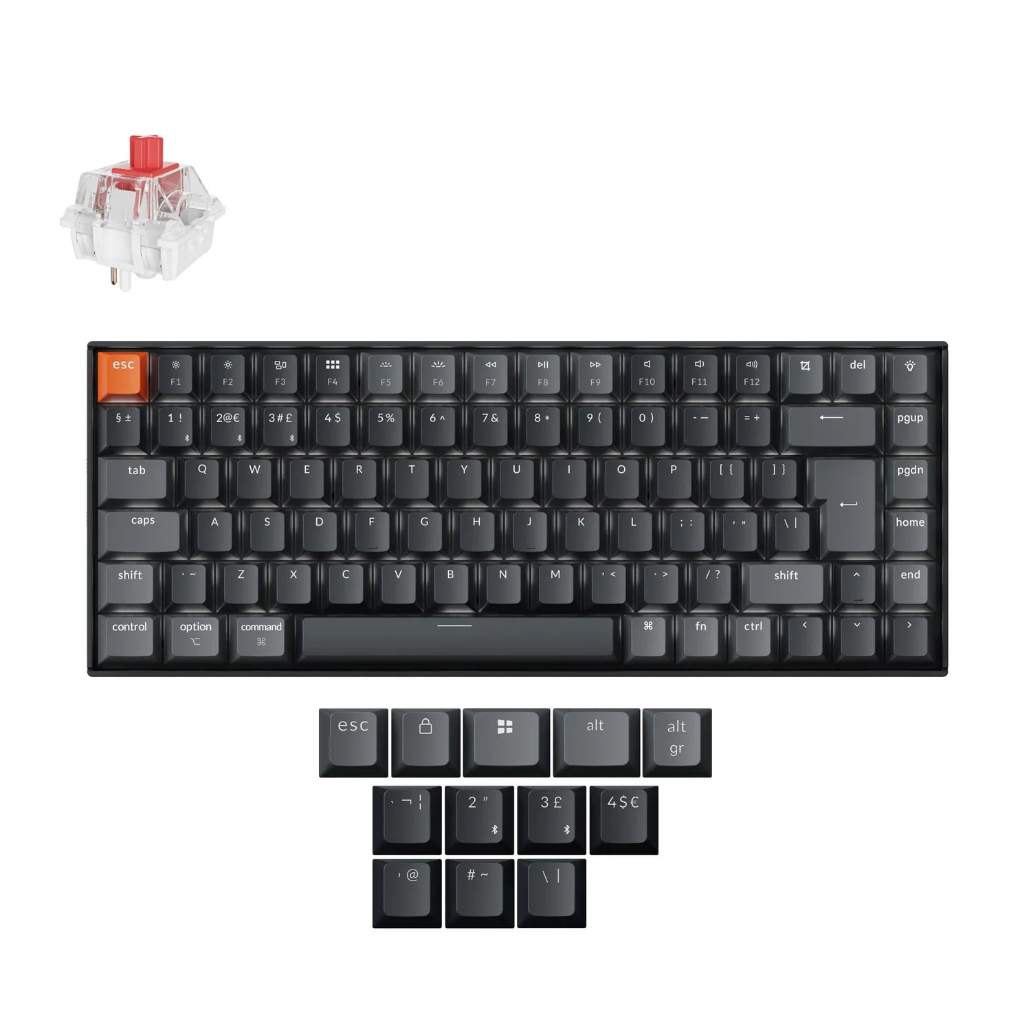 Product image 31